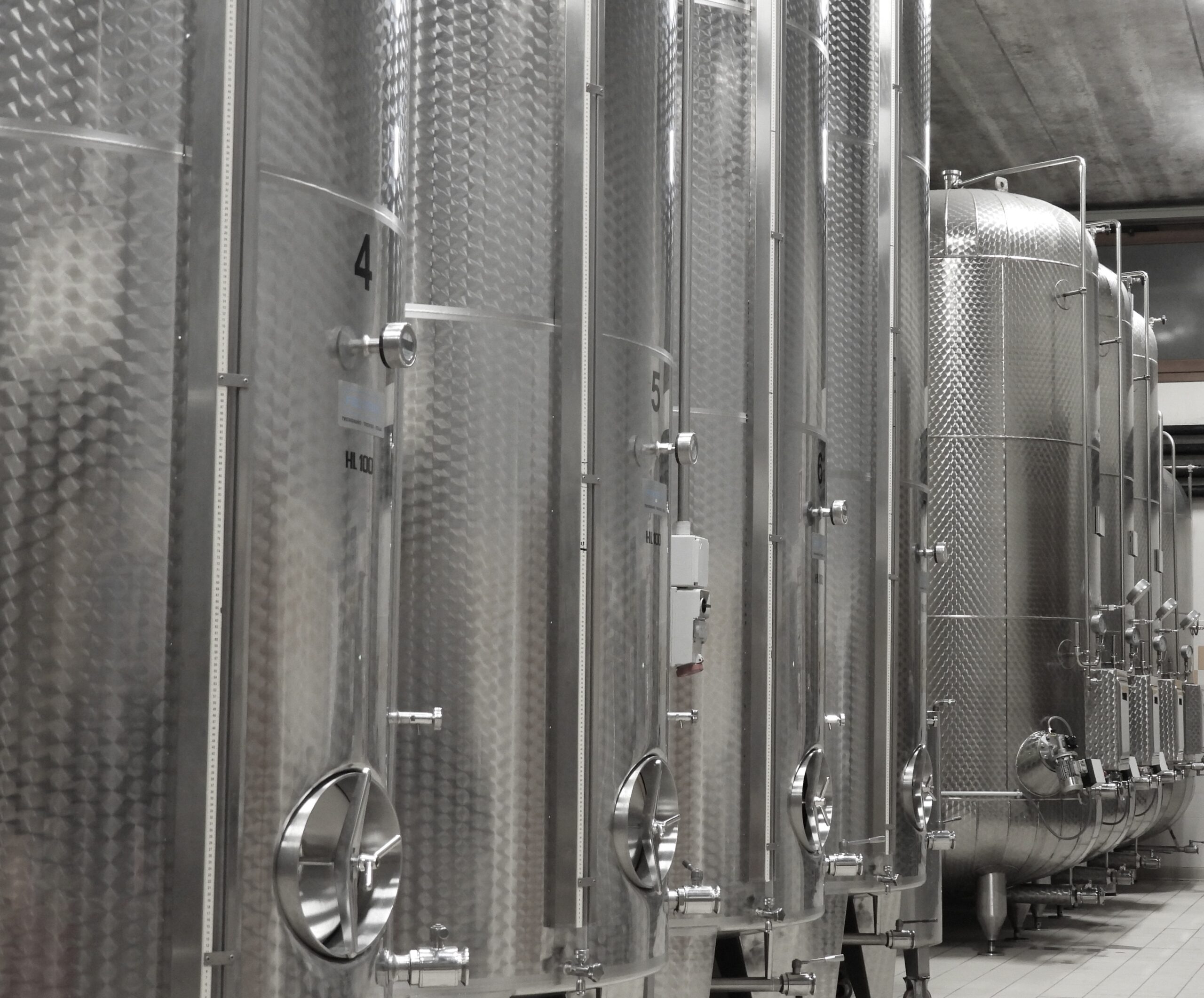 Silver Experience Scandolera